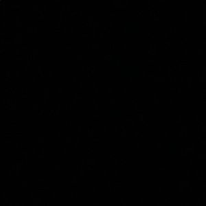 Meet your Posher, Faith